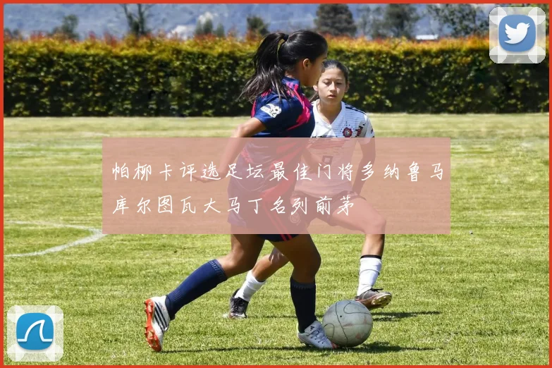 帕柳卡评选足坛最佳门将多纳鲁马库尔图瓦大马丁名列前茅