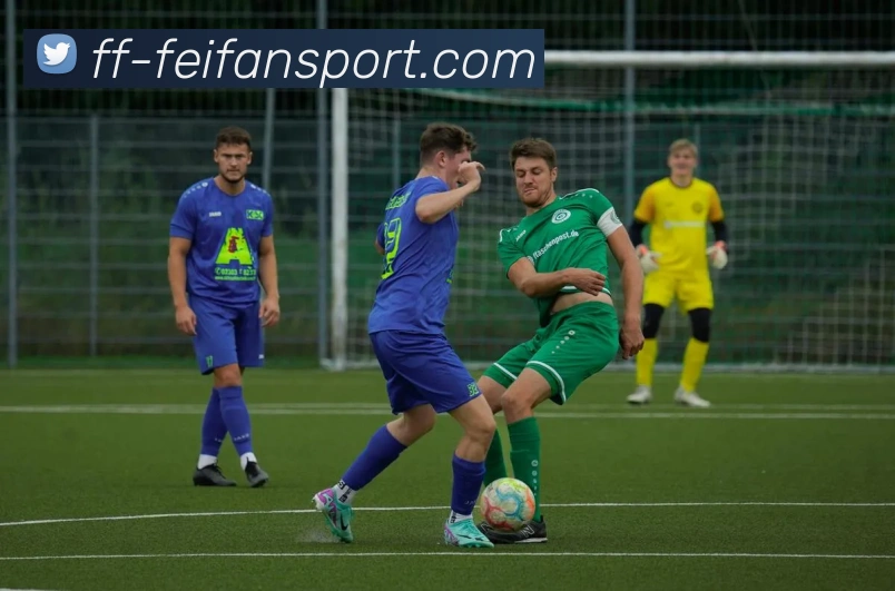 非凡体育APP 封面图